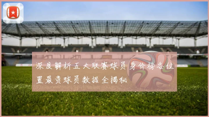 深度解析五大联赛球员身价榜各位置最贵球员数据全揭秘